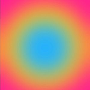 Meet your Posher, Bella